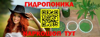 прущие грибы Балахна