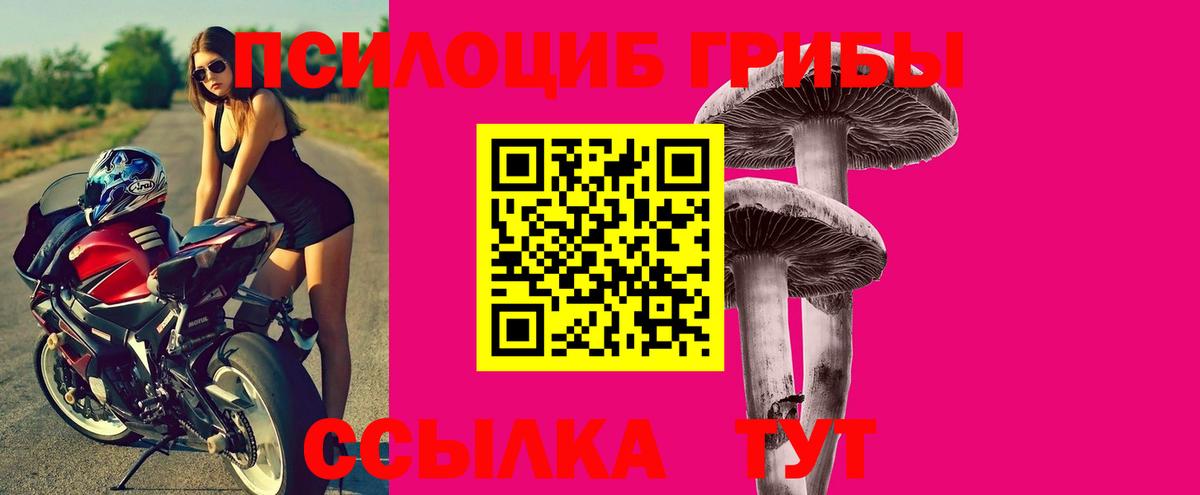 Галлюциногенные грибы Cubensis Губаха